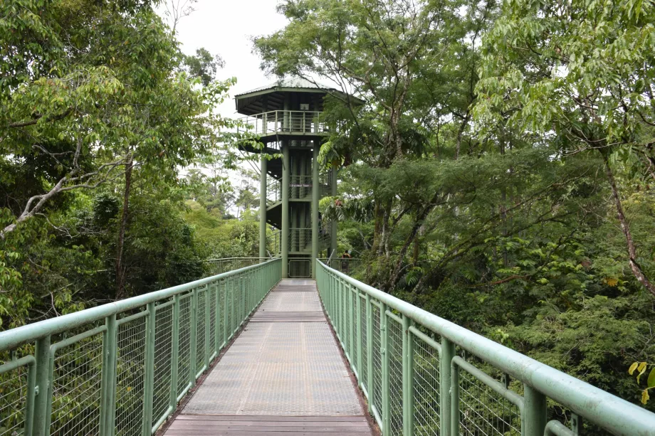 Pusat Penelusuran Hutan Hujan, Sepilok