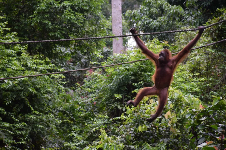 Sabah, Kalimantan