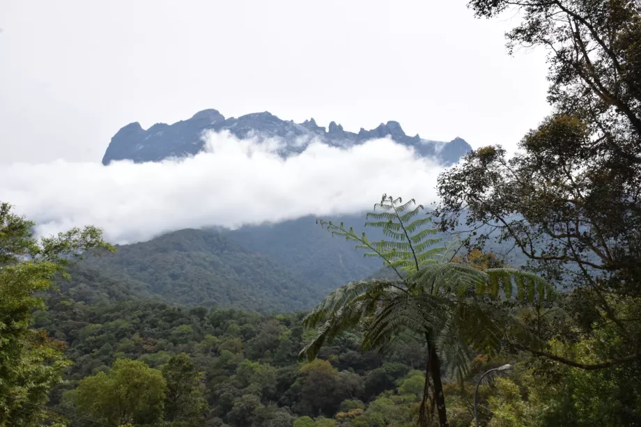 Gunung Kinabalu, Sabah, Kalimantan