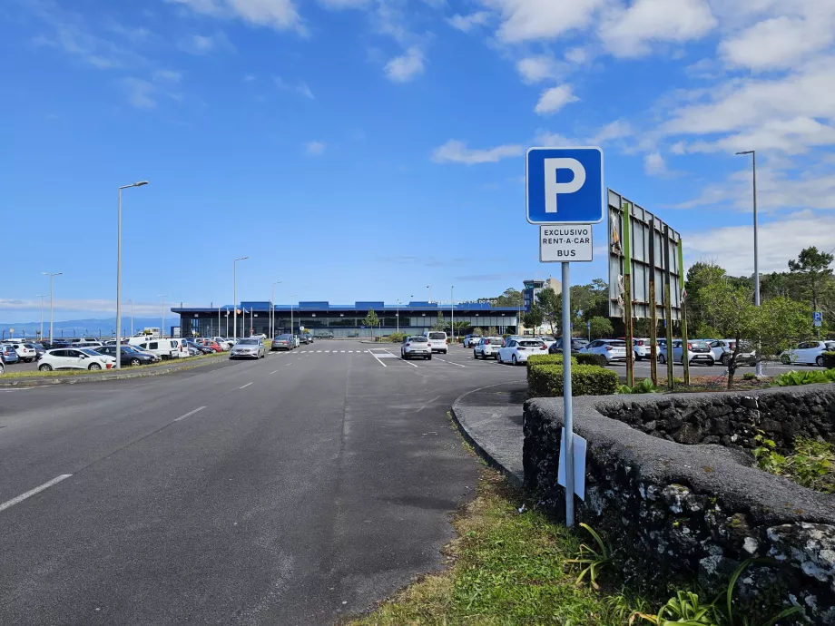 Tempat penyewaan mobil, bandara Pico