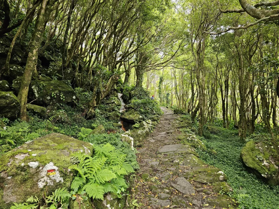 Jalan menuju air terjun Ribeira do Ferreiro