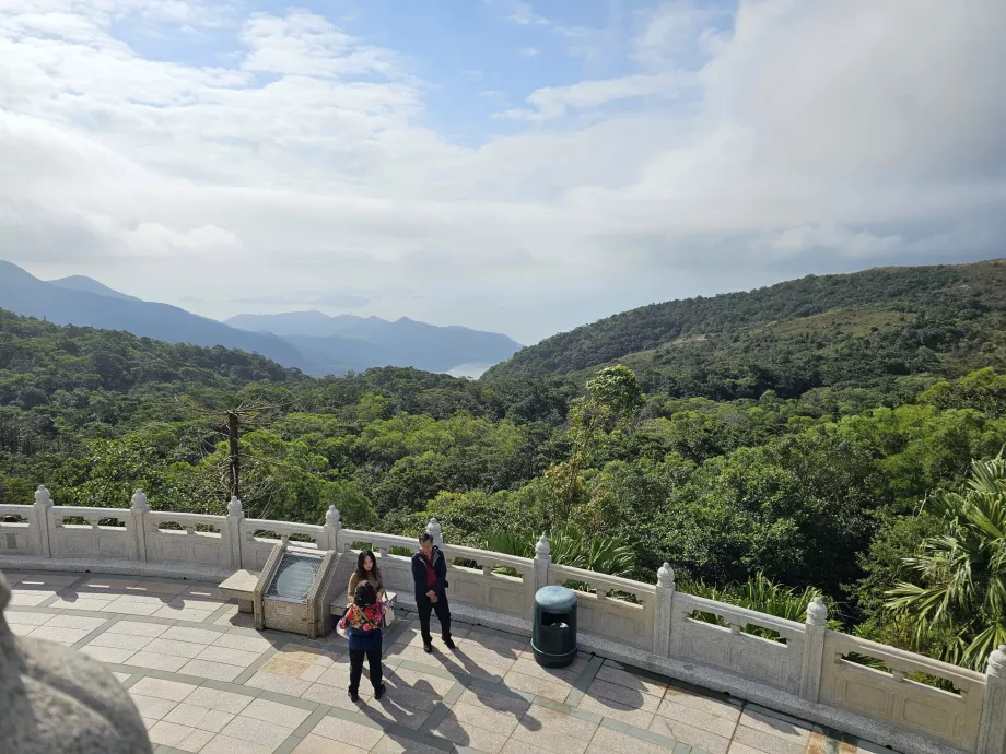 Pemandangan hutan di Pulau Lantau