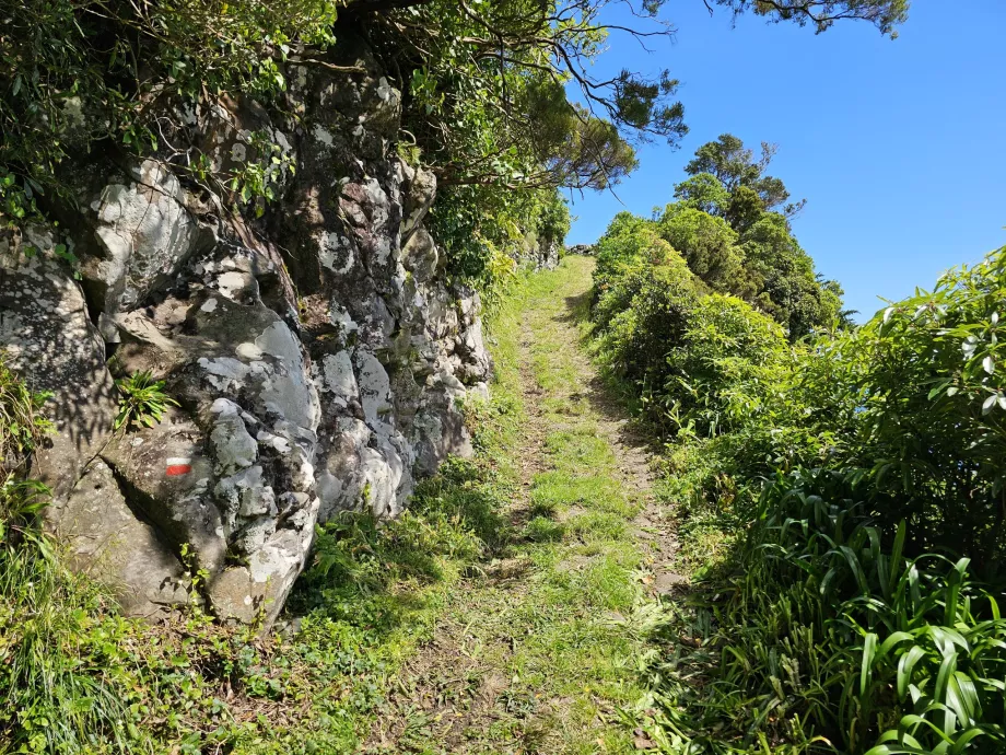 Tanda di atas batu, trilho Ponta Ruiva-Cedros