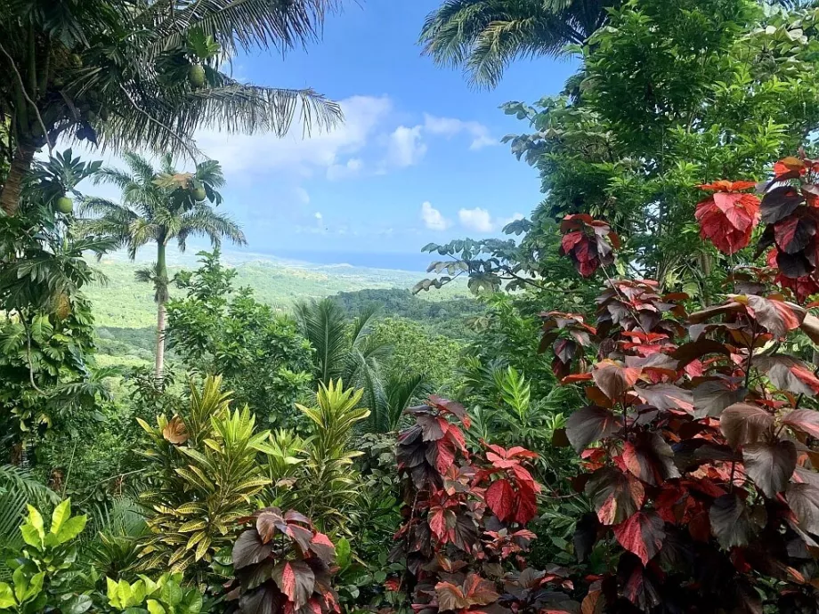 Kebun Raya Hutan Bunga