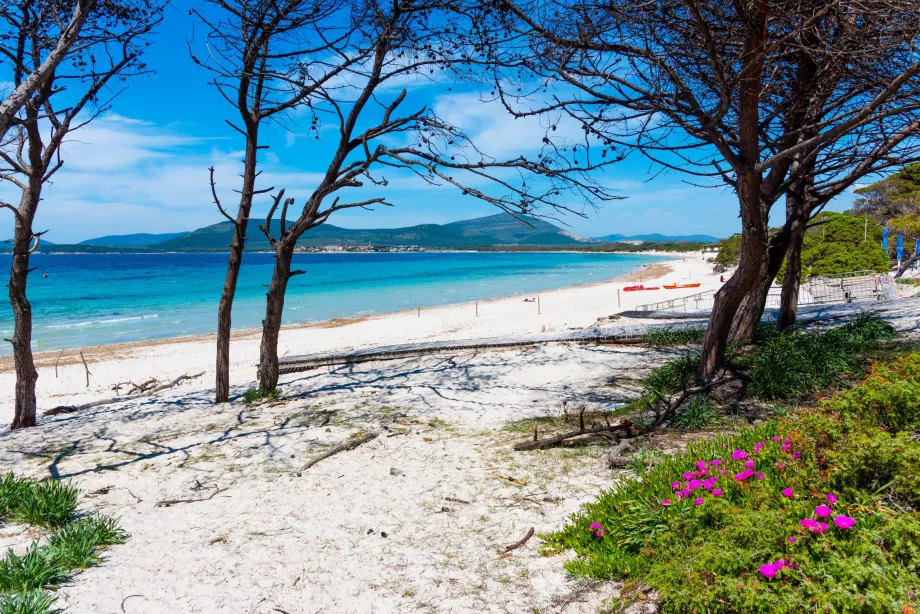 Pantai di Alghero