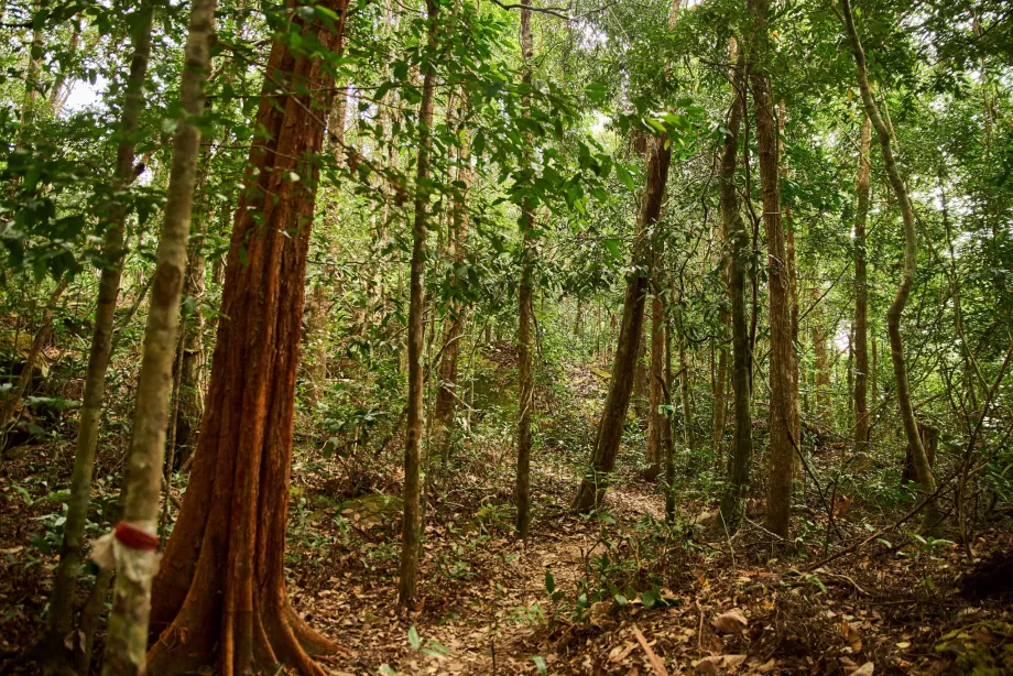 Taman nasional, Phu Quoc, Vietnam