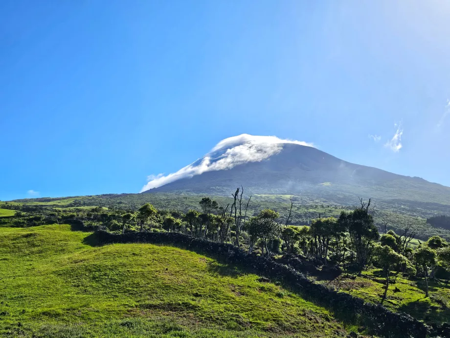 Gunung Pico