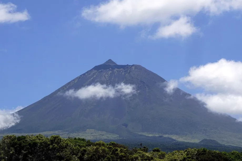 Pico dengan bagian atas runcing yang menonjol Piquinho