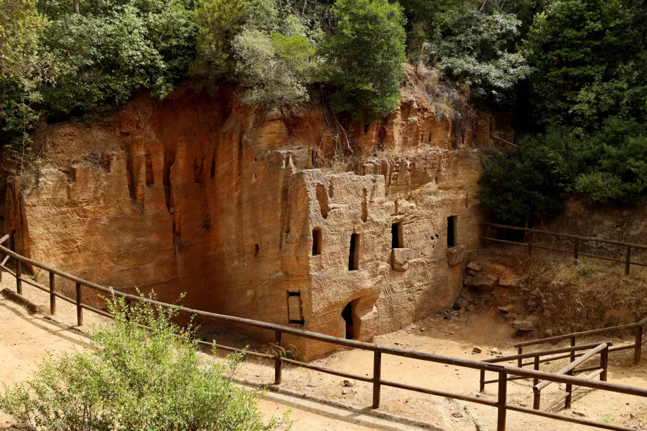 Populonia