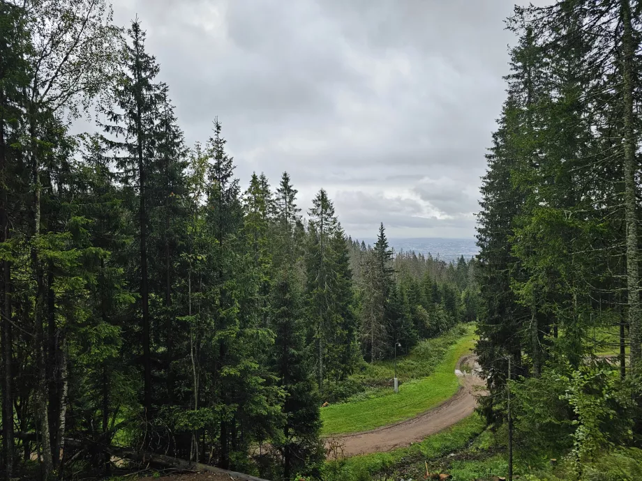 Hiking Holmenkollen