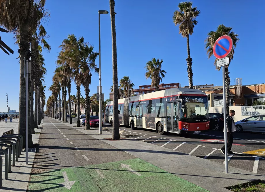 Bus di Barcelona