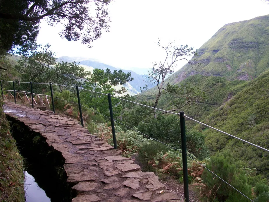 Pandangan Levada