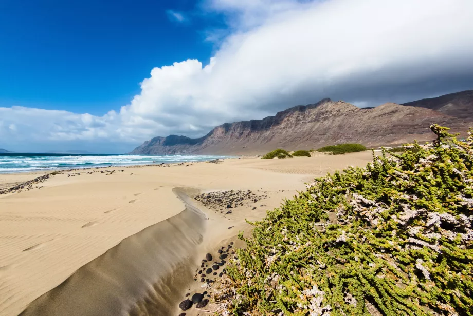 Pantai Famara