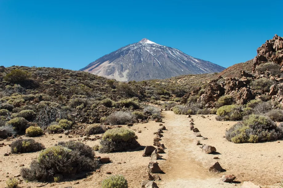 Jalan menuju Pico del Teide