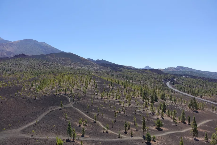 Lanskap Taman Nasional Teide