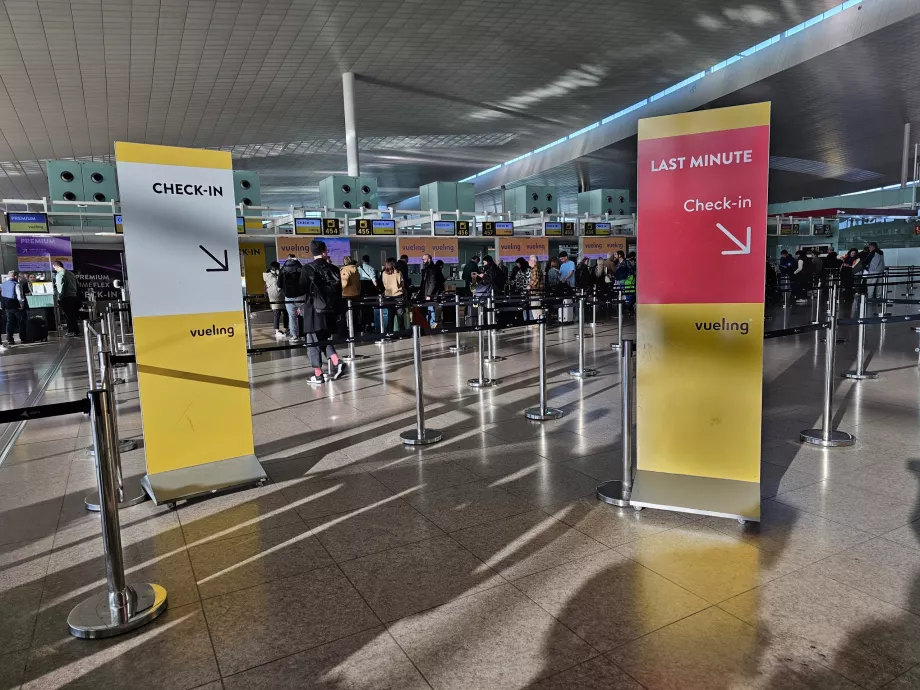 Vueling Check-in