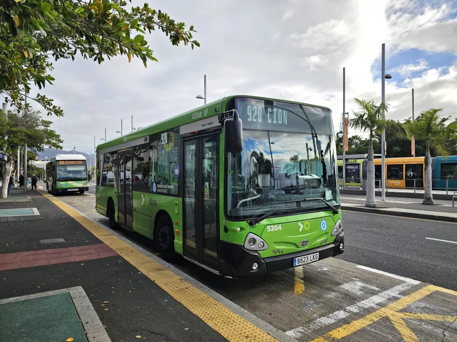 Bus di Santa Cruz