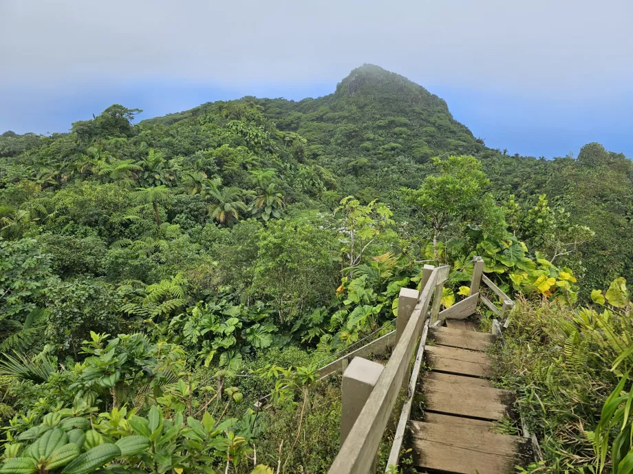 Jalur Pemandangan Gunung