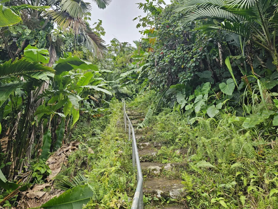 Jalur Pemandangan Gunung