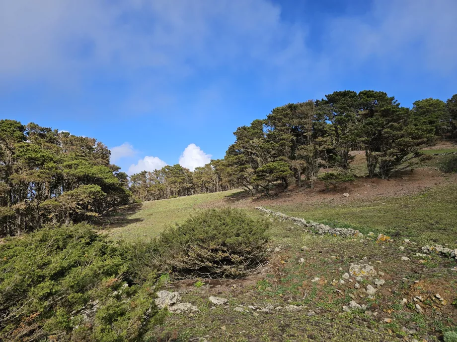 El Hierro Barat