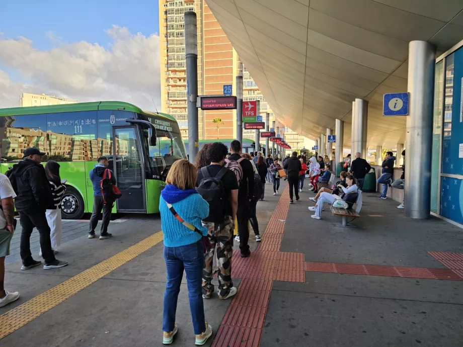 Antrian bus ke bandara TFS