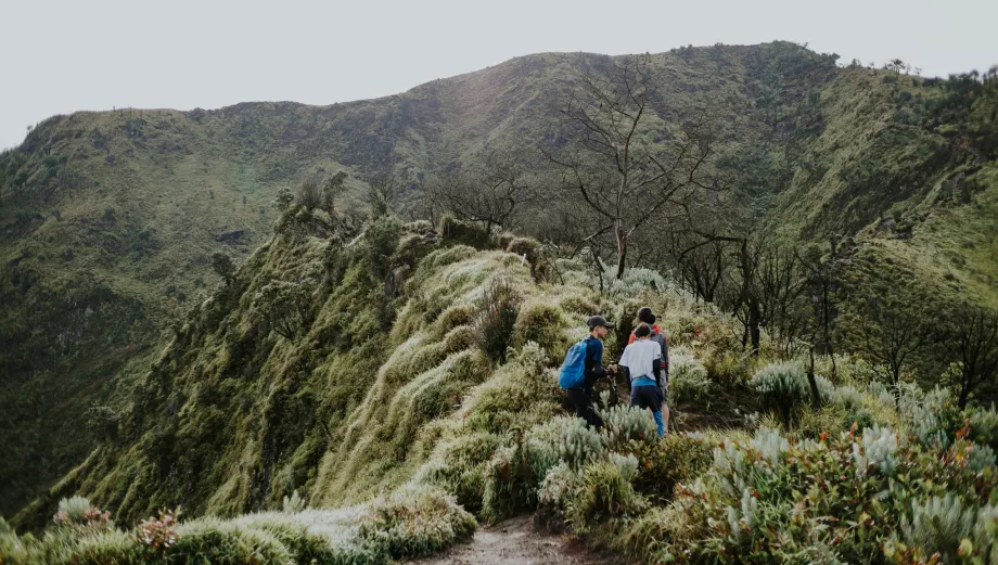 Mendaki Gunung Merbabu