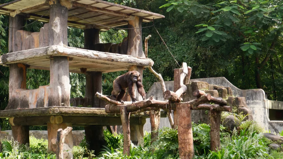 Kebun Binatang Gembira Loka