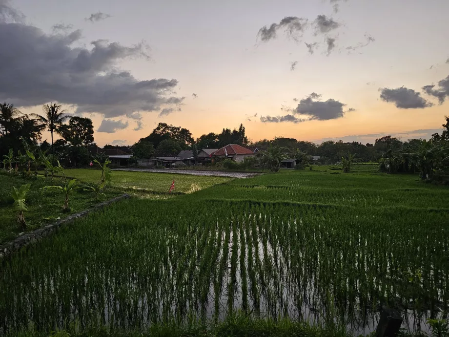 Jalan menuju Ratu Boko