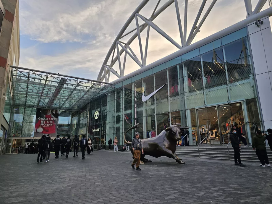 Pusat Perbelanjaan Arena Adu Banteng