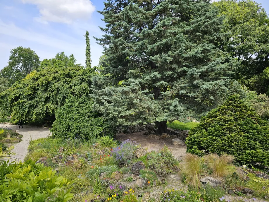 Jardin des Plantes