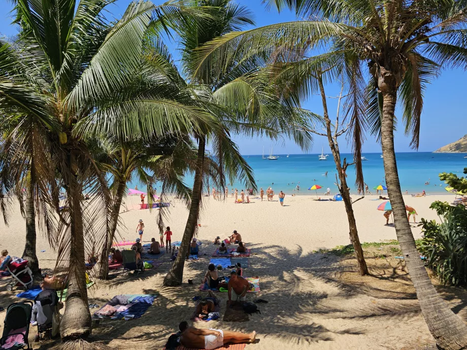 Bayangan di Pantai Nai Harn