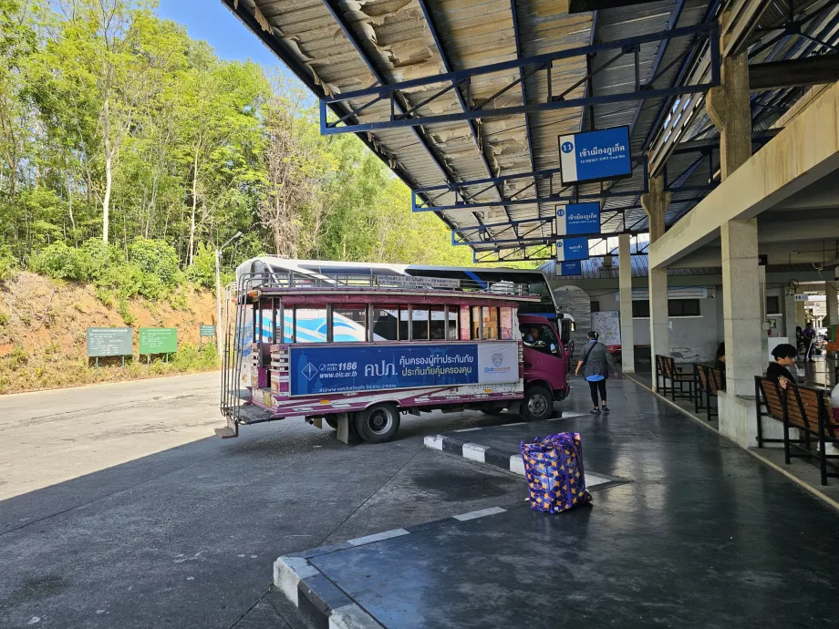 Bus Merah Muda di Terminal Bus 2