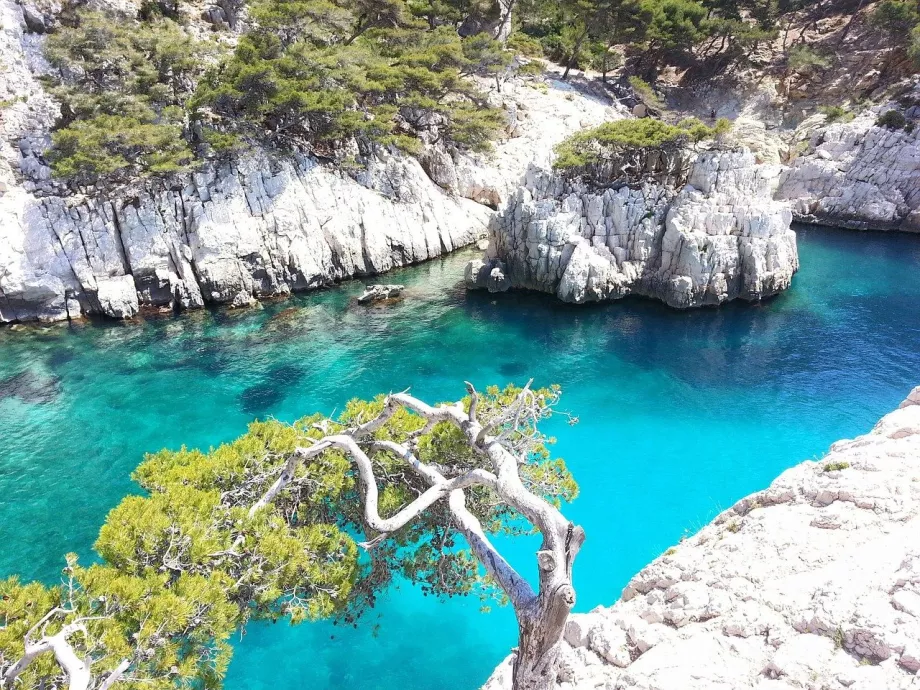 Teluk di Calanques