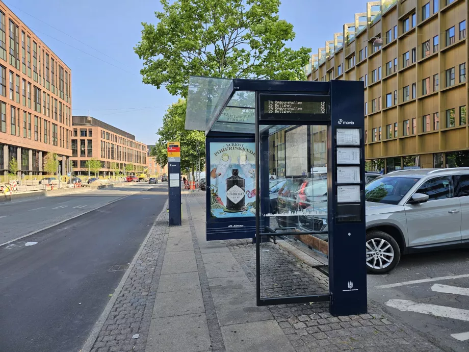 Halte bus di Kopenhagen