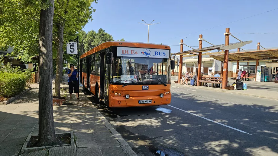 Jalur bus lokal