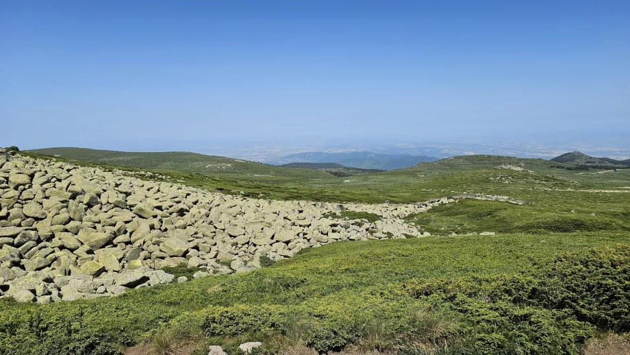 Pemandangan di Pegunungan Vitosha