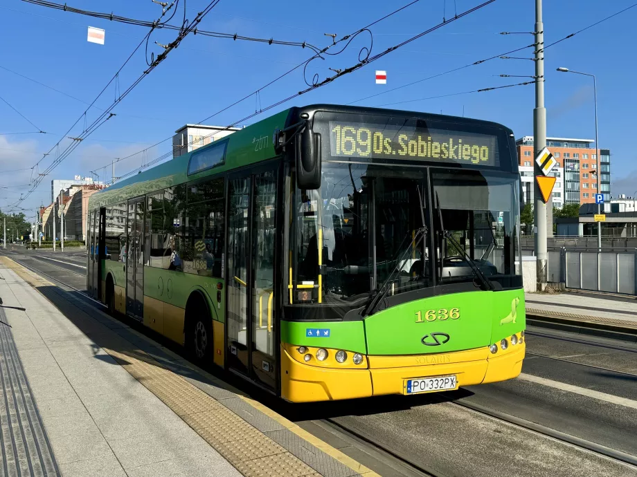 Bus di Poznan