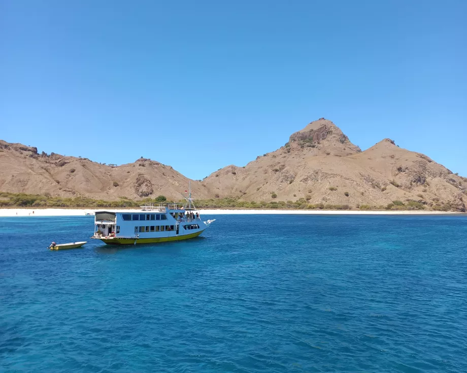 Pulau Rinca, Kepulauan Komodo, Indonesia