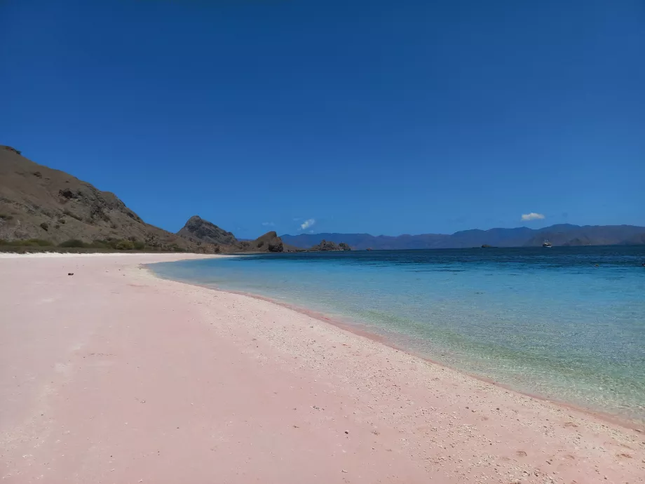 Pantai Pink, Kepulauan Komodo, Indonesia