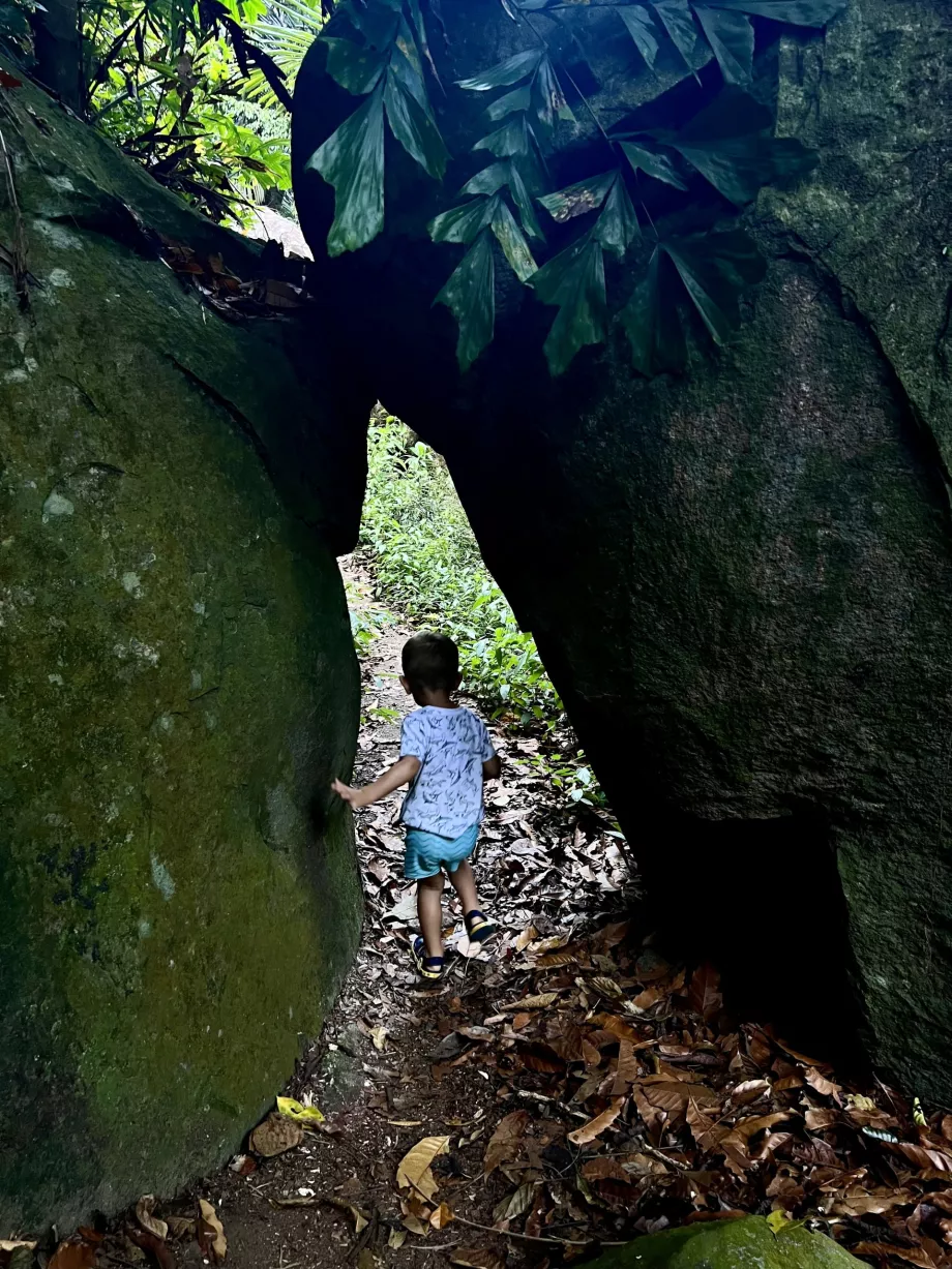 Pendakian Paya-Genting, Tioman