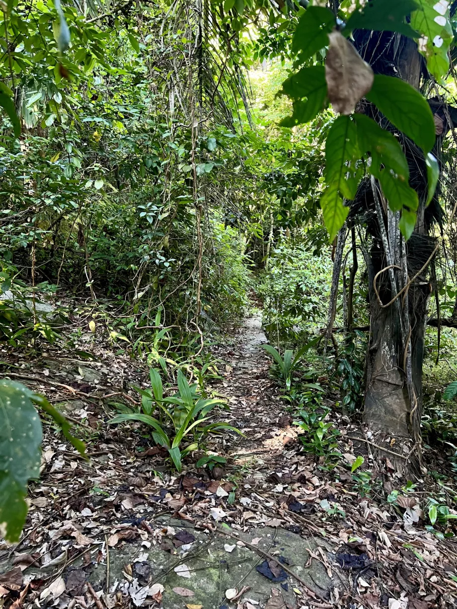 Perjalanan Paya ke Genting, Tioman